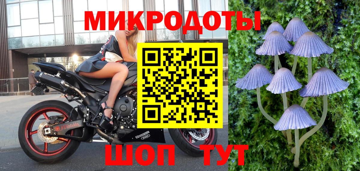 Галлюциногенные грибы Psilocybe  Вход с VPN  Архангельск 